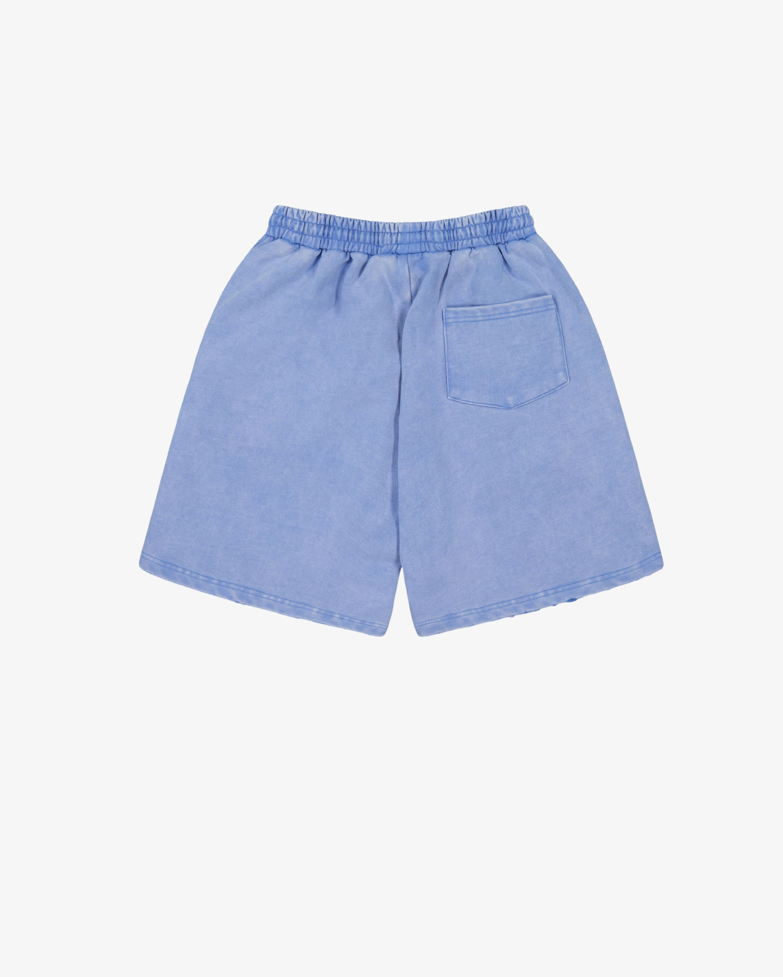 Distressed Logo Shorts | Washed Blue-5