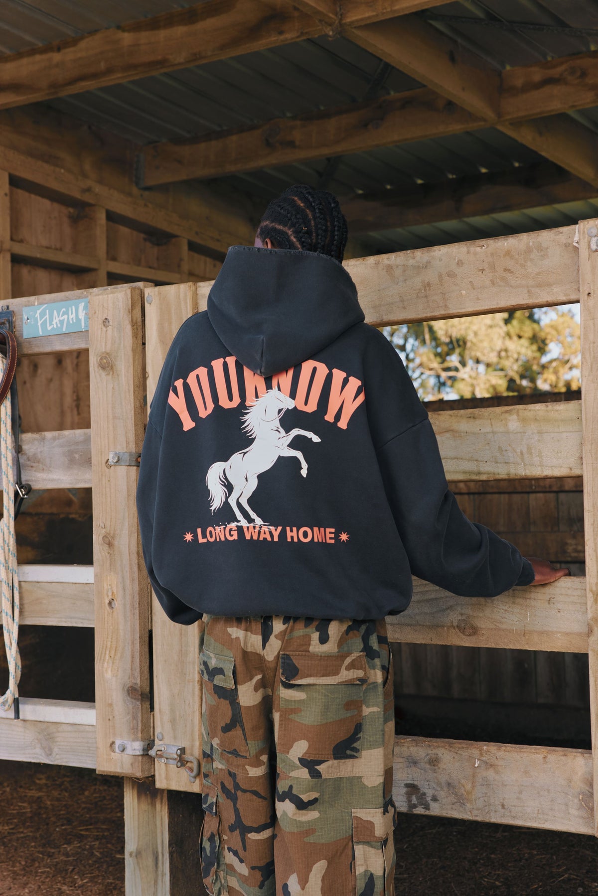 Stallion Box Vintage Hoodie | Black-3